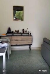 Serangoon Park (D13), Terrace #585264031